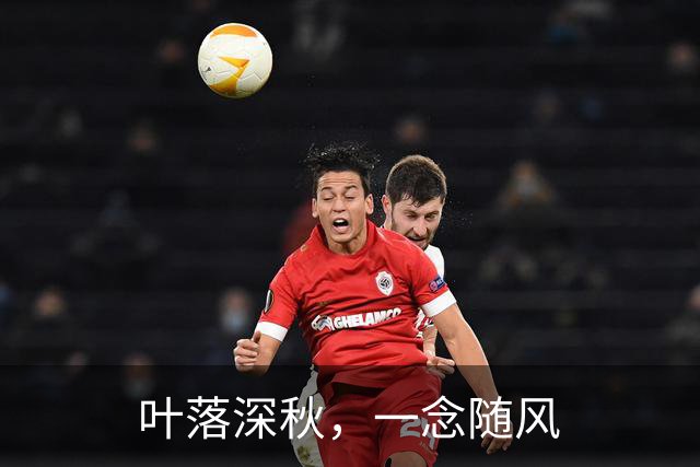 叶落深秋，一念随风